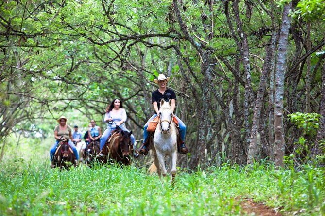 Oahu Sunset Horseback Ride - Why a Gunstock Ranch sunset ride beats a straight beach view