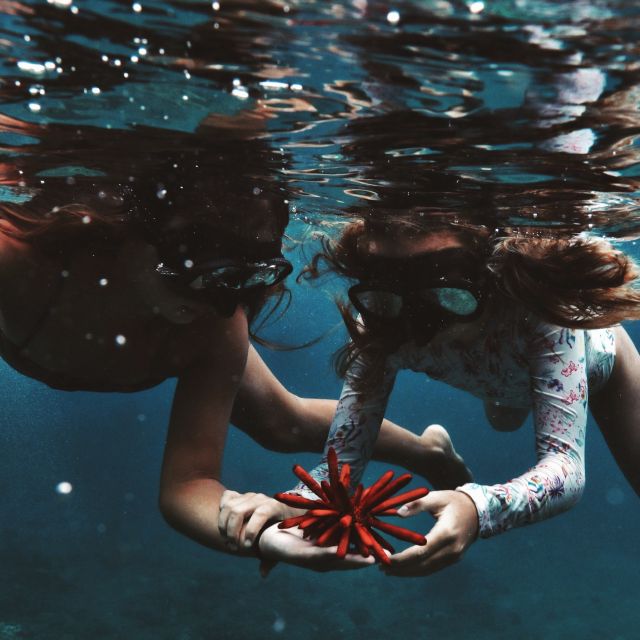 Oahu: Turtle Canyon Snorkeling Boat Tour - Why Turtle Canyon snorkeling feels like the real Oahu story