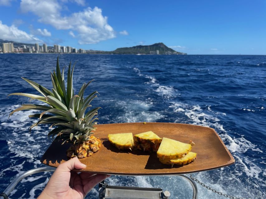 Oahu: Turtle Canyon Snorkeling Boat Tour - Non-swimmers and nervous snorkelers: how the tour sets you up