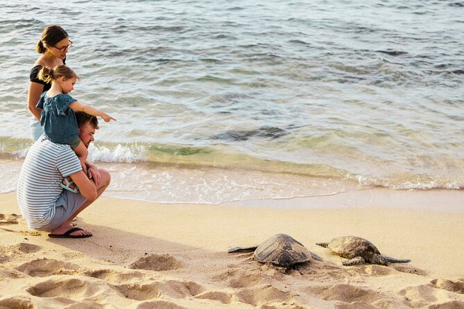Oahu Ultimate Circle Island: 30 Spots, 10 Epic Stops - Tropical Farms macadamia stop: coffee tasting plus the nut crack moment