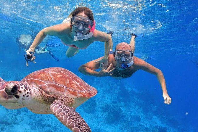 Oahu Ultimate Circle Island Tour Full Day Experience - Price and value: what you get for $84 (and what you still pay for)
