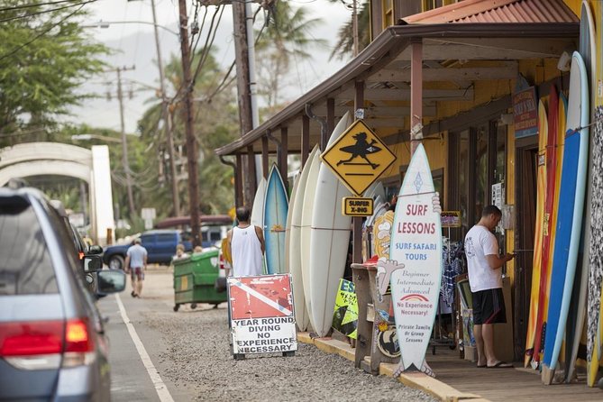 Oahu Ultimate Circle Island Tour Full Day Experience - Diamond Head to Halona Blowhole: East Oahu’s wow factor without effort
