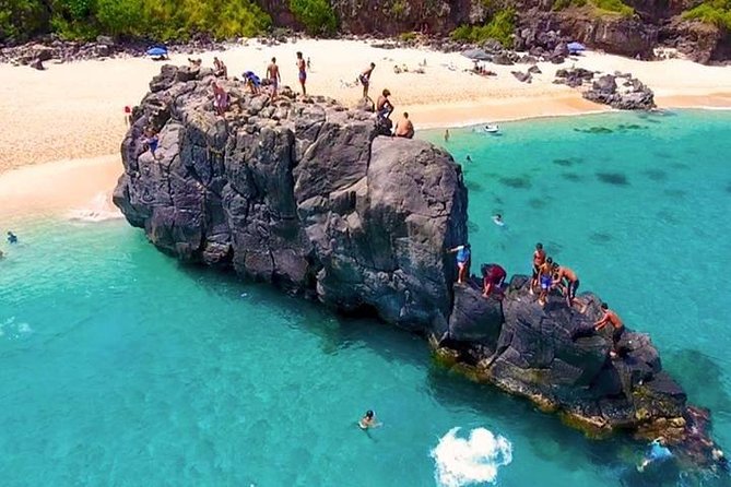 Oahu Ultimate Circle Island Tour Full Day Experience - North Shore: Kahuku shrimp, surfing coast views, and the turtles hour