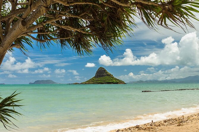 Oahu Unveiled: Tailored Luxury Private Island Tour - Price and Logistics: What $300 Per Person Really Covers