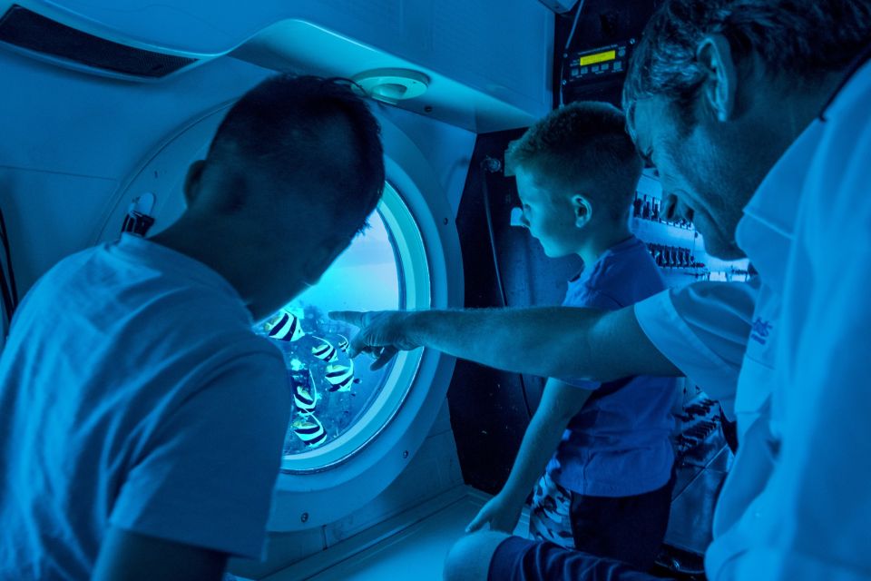 Oahu: Waikiki Submarine Tour - The Real-World Timing: From Pier to 100 Feet Down