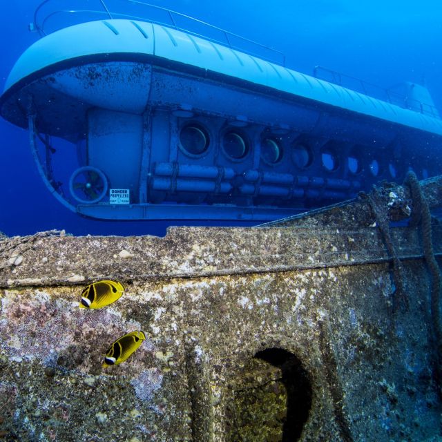 Oahu: Waikiki Submarine Tour - The Atlantis XIV Interior: Comfort for 64 and Big Windows
