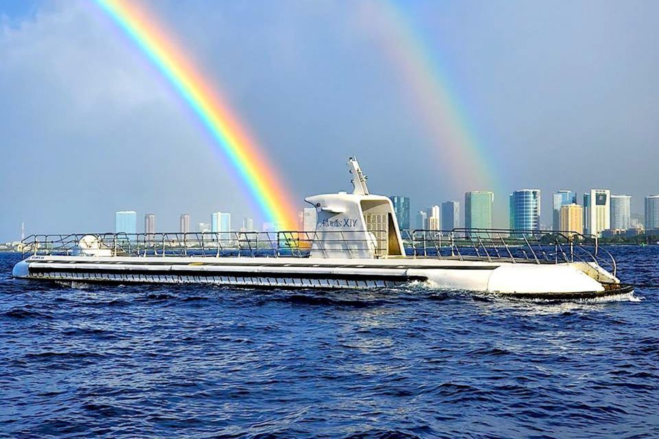 Oahu: Waikiki Submarine Tour - What You’ll See Underwater: Turtles, Reef Fish, Sharks, and More