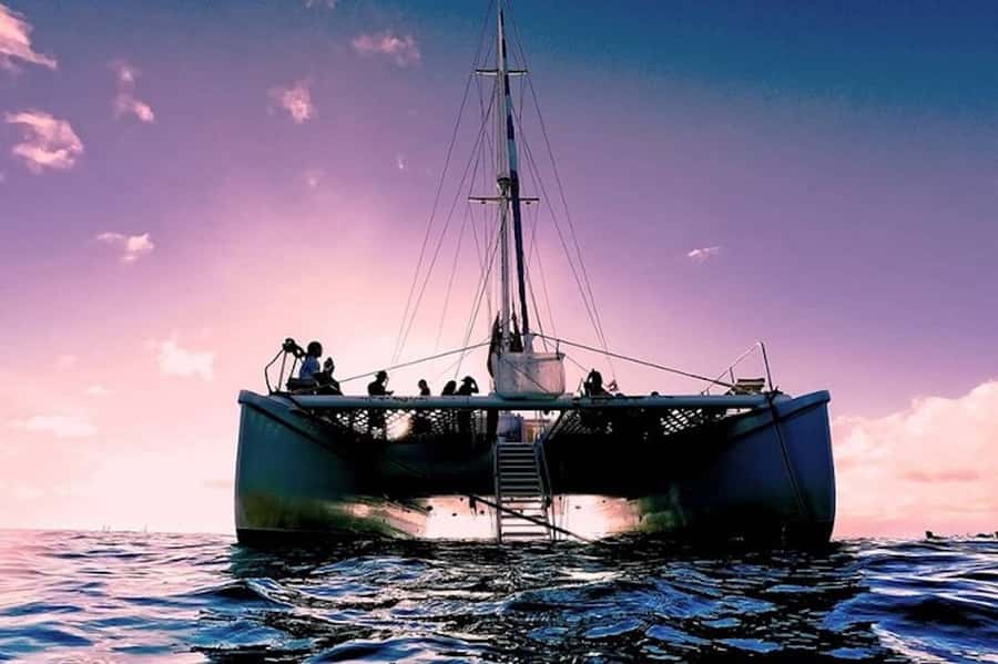 Oahu: Waikiki Sunset Catamaran Sail and Swim - What the Sunset Swim Actually Adds (and How to Prepare)