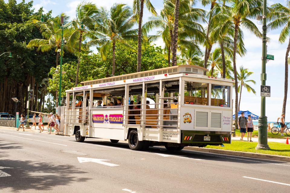 Oahu: Waikiki Trolley Hop-on Hop-off All-Line Pass - Pink Line: Ala Moana Shopping Shuttle for Waikiki Breaks