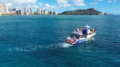 Oahu: Whale Watching Cruise Whales Guaranteed - Where you go: Waikiki and Diamond Head waters