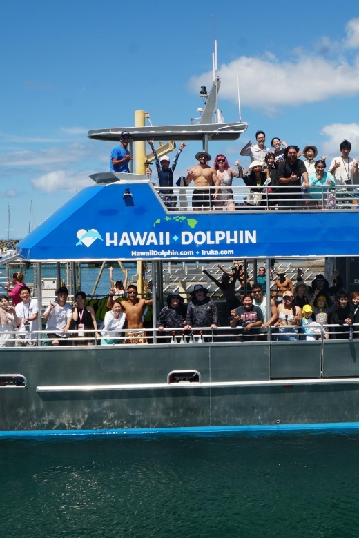 Oahu: Wild Dolphins Swim Turtle Snorkel Tour & Waterslide - Lunch and Drinks: Included, But Plan for Turkey or Request Changes