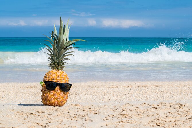 Oahu's Ultimate Grand Circle Island Tour with Snorkeling and More - A 7:00 AM Circle-Island Rhythm That Actually Works