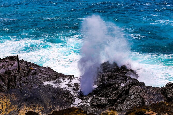 Oahu's Ultimate Grand Circle Island Tour with Snorkeling and More - Macadamias, Pineapple King Energy, and Coffee Roasted Daily