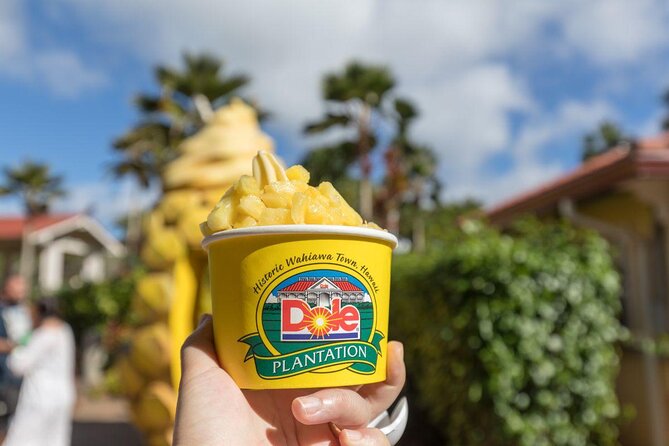 Oahu's Ultimate Tour: Dole, Turtle Snorkel, Pali Lookout & More - Coastal power stops: Eternity Beach, Halona Blowhole, Sandy Beach