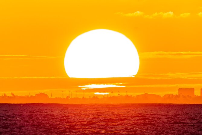 Oahu's Waikiki Coast: Moana’s Sunset Cocktail Sail - Wildlife odds: dolphins anytime, humpbacks in season