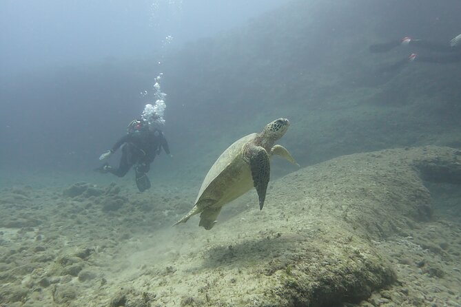 Open Water Scuba Certification - The 4-Day Schedule Over Two Weekends: What You’ll Do Each Morning