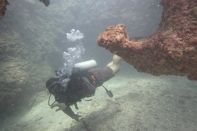 Open Water Scuba Certification - Meeting Point and Timing: Plan Around a 7:00 AM Start