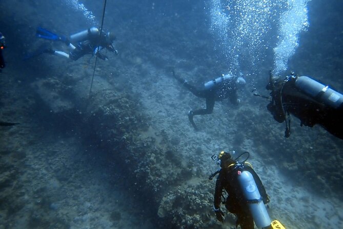 PADI Open Water Certification Course Shared Experience - Value Check: How $85 Stacks Up (and What to Confirm)