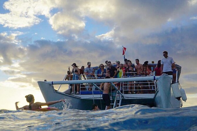 Paradise Waikiki Sunset Cruise + LIVE DJ + SWIMMING - Diamond Head, Waikiki coastline, and the sea life odds