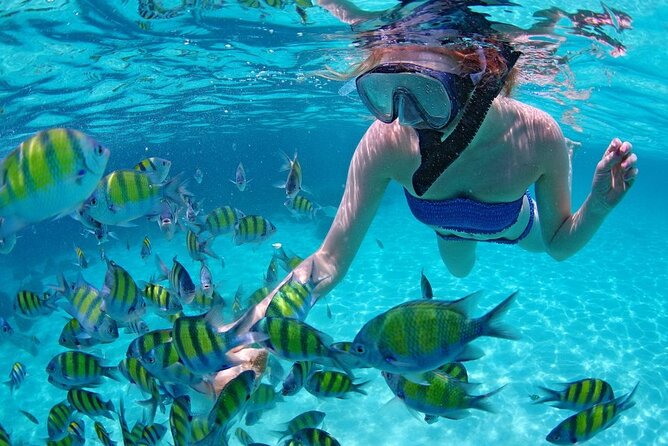 Paradise Waikiki Sunset Cruise + LIVE DJ + SWIMMING - Who this cruise fits best (and who might want a calmer option)