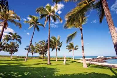 Pearl Harbor History Remembered Tour from Ko Olina - Pearl Harbor Visitor Center: Where the Story Clicks Into Place