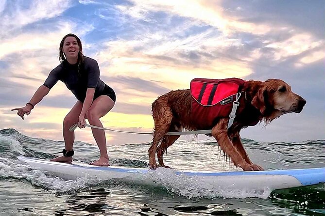Private 1-on-1 Surf Lesson with Videos and Photos - Equipment Included: Rash Guard, Water Shoes, Board, Leash