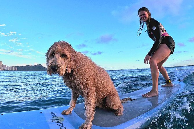 Private 1-on-1 Surf Lesson with Videos and Photos - Price and Value: What $160 Gets You in One Hour