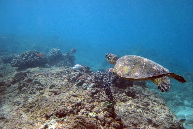 Private 5Hrs Island Tour with 2Hrs Sail and Snorkel with Turtles - The 5-hour Grand Circle drive: where customization actually helps