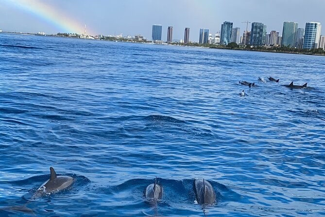 Private Catamaran Cruise and Snorkeling Tour in Honolulu - Wildlife stops for turtles, dolphins, and occasional whale luck