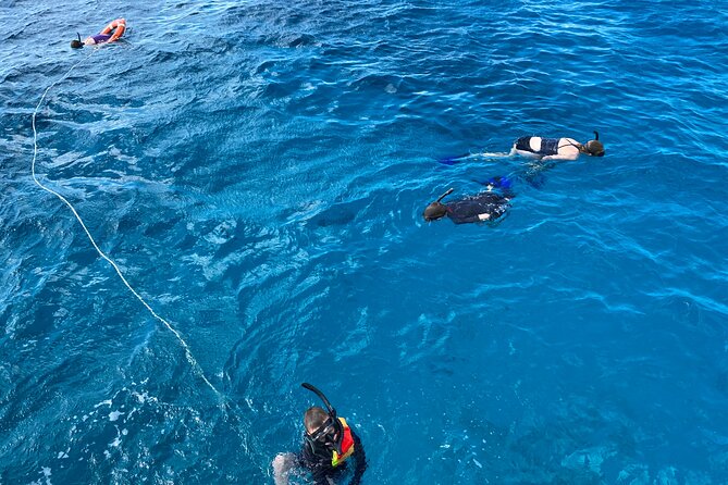 Private Catamaran Cruise and Snorkeling Tour in Honolulu - Who should book this Honolulu catamaran and snorkeling tour