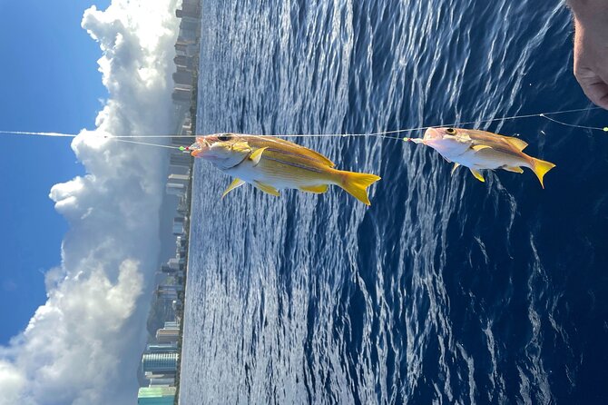 Private Fishing Charter for Family and Friends in Honolulu - Diamond Head views and marine life watch during the two hours