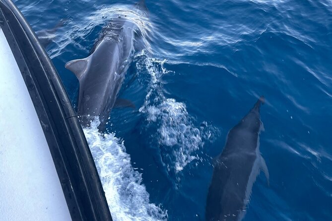 Private Fishing Charter for Family and Friends in Honolulu - Should You Book This Honolulu Fishing Charter?