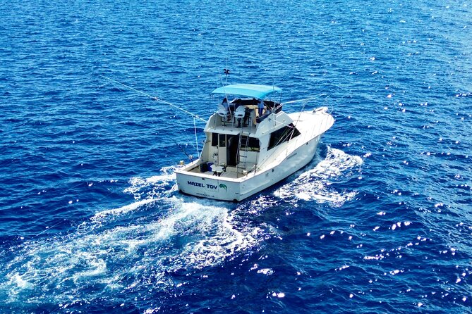 Private Luxury Sportfishing Experience Aboard Limitless - Price and Value on a Private Charter: How $1,399 Fits a Group