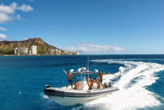 Private Snorkeling and Wildlife on The Adventure Boat - Key things I’d circle before you book