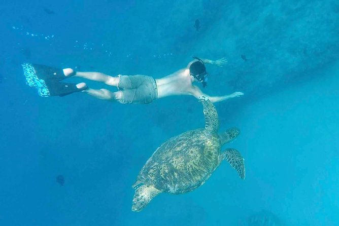 Private Snorkeling and Wildlife on The Adventure Boat - The Adventure Boat feels built for real ocean time