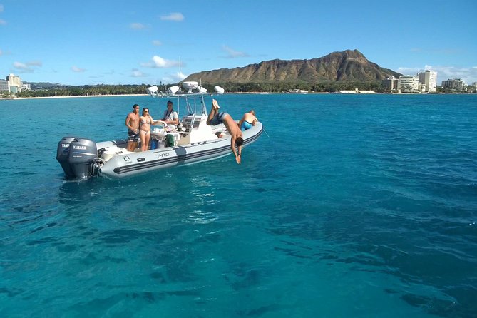 Private Snorkeling and Wildlife on The Adventure Boat - Waikiki from the water: wildlife spotting that doesn’t feel like a waiting game