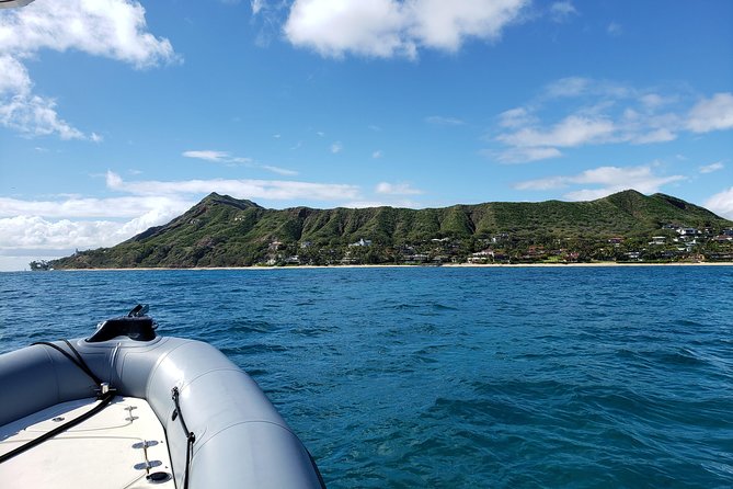 Private Snorkeling and Wildlife on The Adventure Boat - Snorkeling is the main event—and the crew helps you do it well