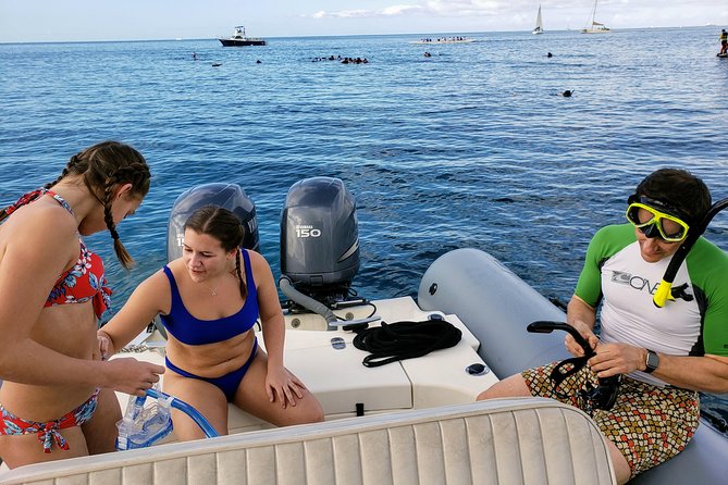 Private Snorkeling and Wildlife on The Adventure Boat - Price and value: $725 per group can be a steal or a splurge