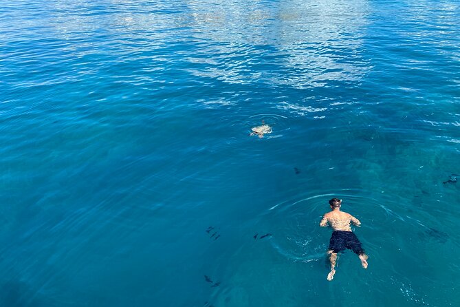 Private Sunset Catamaran Cruise in Waikiki - Snorkeling Gear Included: What You’ll Do and What You Might See