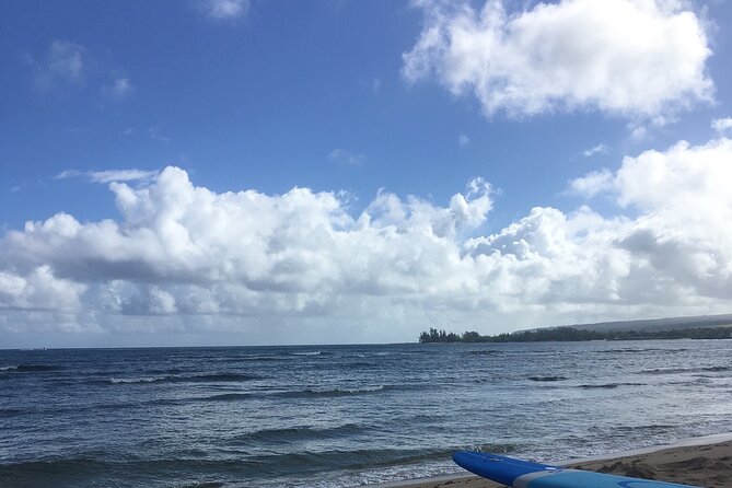Private Surfing Lessons on the North Shore of Oahu - Who This Lesson Fits Best