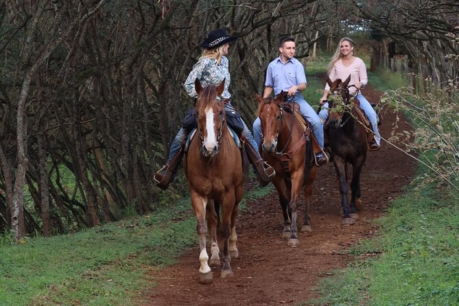 Private Sweetheart Horseback Ride - Gunstock Ranch to the view: why the ride itself is worth doing