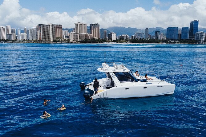 Private Whale Watching and Coastal Swimming Tour Honolulu - Value check: is $749 per group a smart deal?