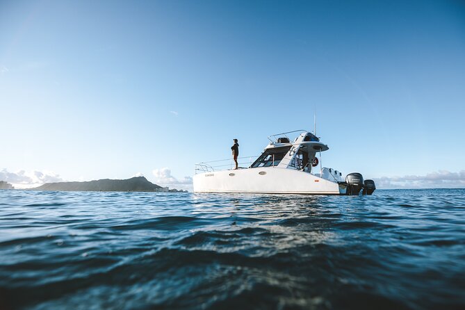 Private Whale Watching and Coastal Swimming Tour Honolulu - Humpback whale spotting: how the crew helps your odds