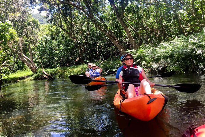 Rainforest River Kayak Self-Guided Kayak Tour - Price and Value: What $82 Buys You (and What It Doesn’t)