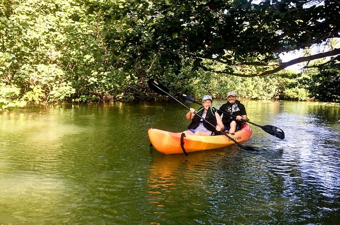 Rainforest River Kayak Self-Guided Kayak Tour - Paddling the Route: Jungle Feel, Canal Sections, and Mountain Views