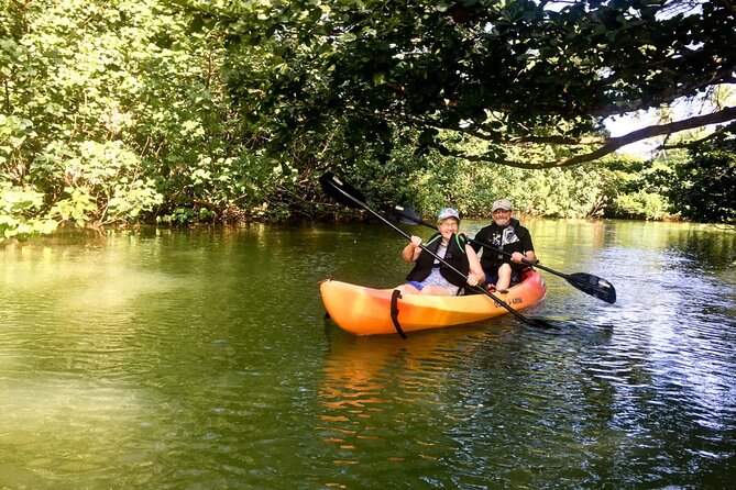 Rainforest River Kayak Self-Guided Kayak Tour - What the 4 Hours Feels Like on Calm Water