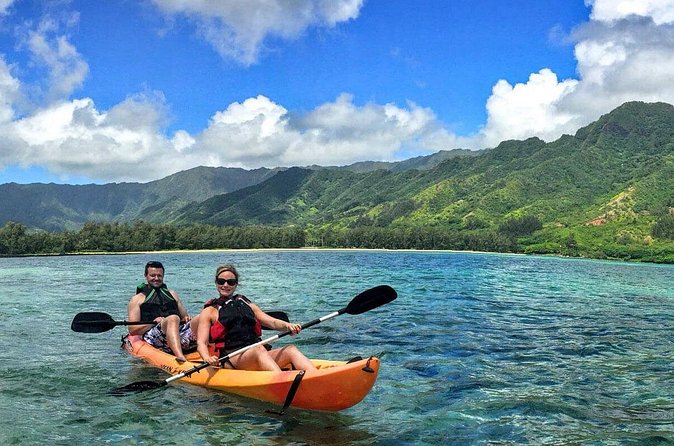 Rainforest River Kayak Self-Guided Kayak Tour - Staffing That Matters: Easy Instructions and Fast Setup