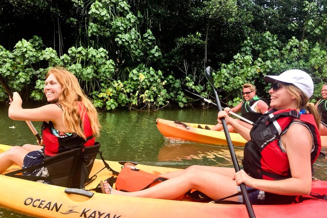 Rainforest River Kayak Self-Guided Kayak Tour - Who This Tour Suits Best (and Who Should Rethink It)