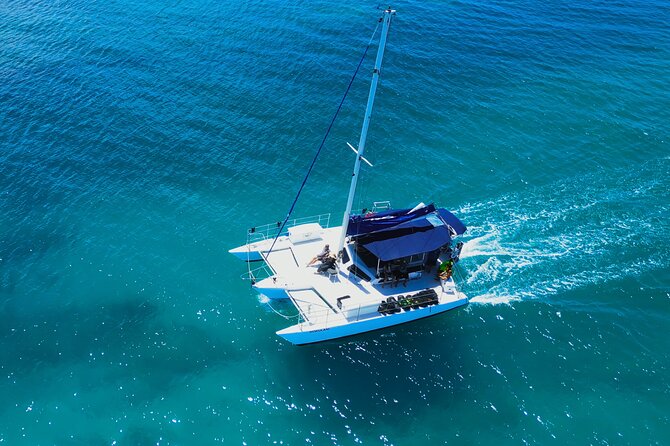 Sail and Turtle Snorkeling Tour in Waikiki - What You’ll Get On Board: Gear, Water, and a Real Cooler