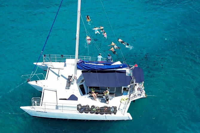 Sail and Turtle Snorkeling Tour in Waikiki - On the Route: Turtle Town, Fish, Dolphins, and the Sail Back